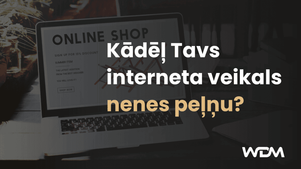 Kādēļ Tavs interneta veikals nenes peļņu?