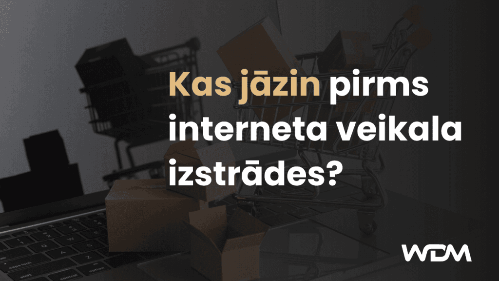 Kas jāzin pirms interneta veikala izstrādes?