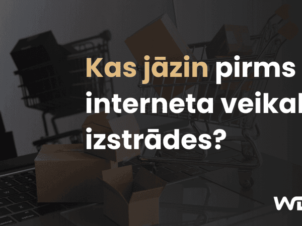 68e61d8fc7d14bb794c4b5b6 kas jazin pirms intv izstrades