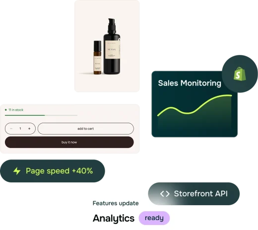 shopify support performance optimization for stable growth